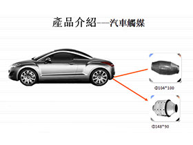 Car catalyst